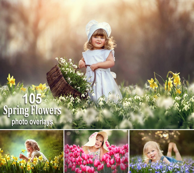 105 Frühlingsblumen Overlays, Wildblumen Overlays, Photoshop Overlays, Farbe Frühlingsblumen Overlays, PNG Datei, Frühling Overlays Bild 1