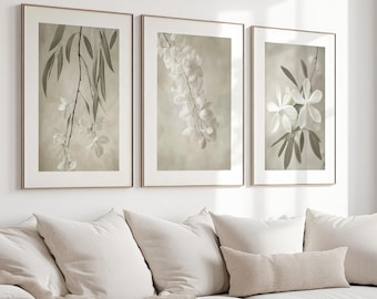 Three neutral posters with jasmine, sage green, wall art, botanical, hanging flowers