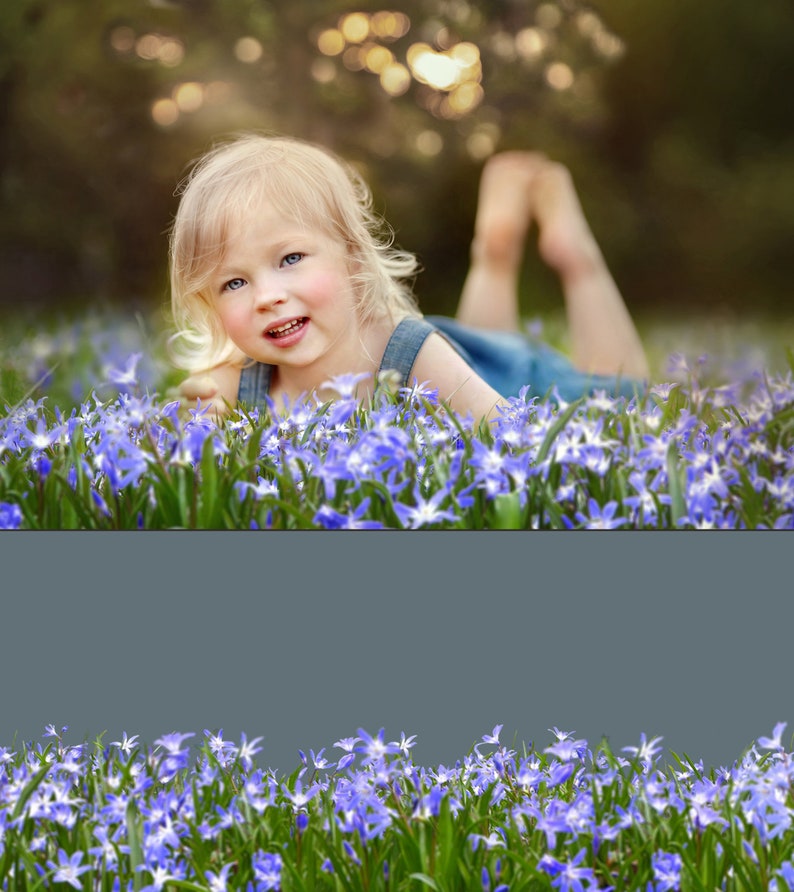 105 Frühlingsblumen Overlays, Wildblumen Overlays, Photoshop Overlays, Farbe Frühlingsblumen Overlays, PNG Datei, Frühling Overlays Bild 7