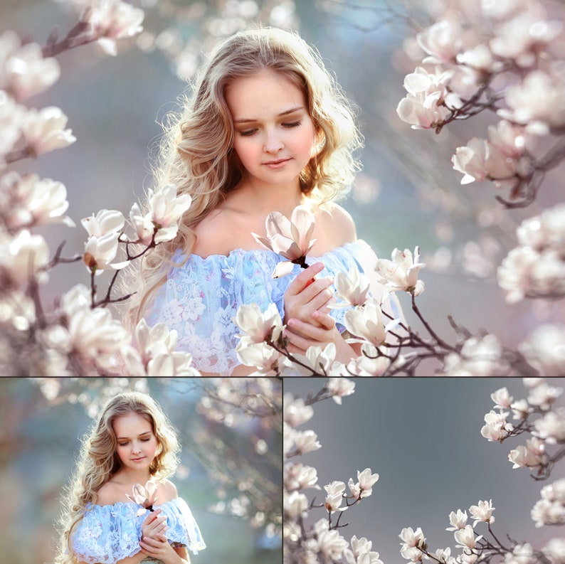 95 Blooming Tree Branch Overlays, Flower Branches Overlays, Flowering Trees, Magnolia Overlays, Wisteria Overlays, Spring Overlays, Summer image 8