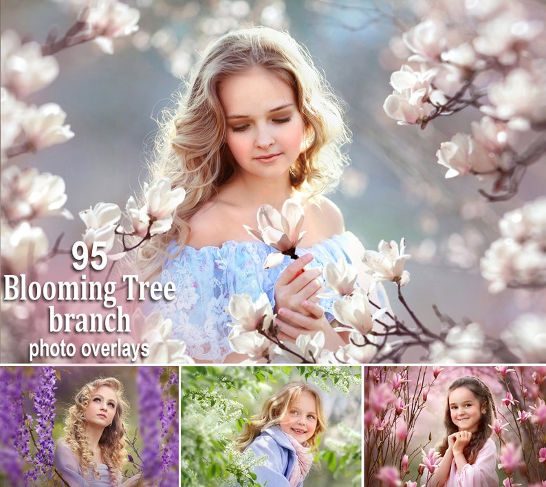 95 Blooming Tree Branch Overlays, Flower Branches Overlays, Flowering Trees, Magnolia Overlays, Wisteria Overlays, Spring Overlays, Summer image 1