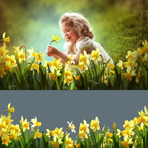 105 Frühlingsblumen Overlays, Wildblumen Overlays, Photoshop Overlays, Farbe Frühlingsblumen Overlays, PNG Datei, Frühling Overlays Bild 5