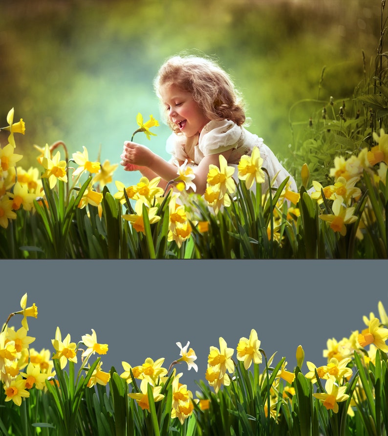 105 Frühlingsblumen Overlays, Wildblumen Overlays, Photoshop Overlays, Farbe Frühlingsblumen Overlays, PNG Datei, Frühling Overlays Bild 5