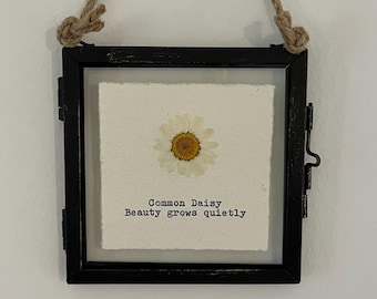 Handgefertigter Mini-Kunstdruck mit gepressten Gänseblümchen, botanische Kunst mit getrockneten Blumen, Geschenkidee mit Schreibmaschinenzitat auf Baumwollpapier (gerahmt oder ungerahmt)