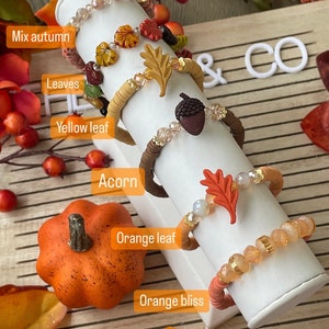 Op de afbeelding: Vijf armbanden met herfstthema met verschillende bedels, waaronder bladeren, eikels en een geel blad. De armbanden worden getoond op een witte standaard met de woorden "& CO" op de achtergrond. De armbanden zijn gelabeld met "Mix autumn", "Leaves", "Yellow leaf", "Acorn", "Orange leaf" en "Orange bliss".