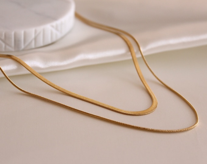 Fancy 18K Gold Filled, Stainless Steel, Double Layer gift for her,, Necklace for Women, Statement Jewelry, Layered Necklace