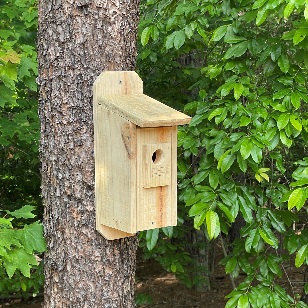 Cedar Bluebird House Nest Box Handmade in N.C. - Etsy