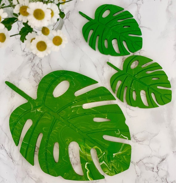 montis philodendron Monstera Deliciosa (Split Leaf Philodendron) – Merle's Flower Shop