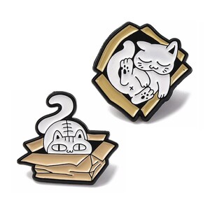 Pin's chat dans un carton
