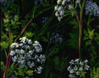 Poison Hemlock - Fine Art Print, Poison Garden Series, Nature Wall Art Unframed for Living Room, Bedroom, Entryway, Office, Library