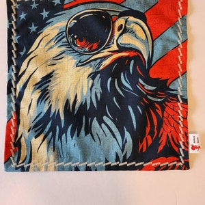 Bald eagle hank 2