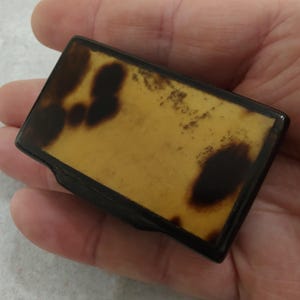 Antique  Horn and Tortoiseshell Snuff Box