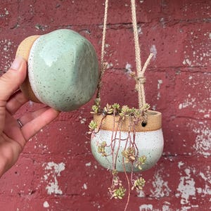May include: Two round ceramic planters with a speckled mint green glaze on the bottom and a natural tan clay top. One planter hangs from a jute rope, containing a trailing succulent plant with small green and pink leaves, while the other is held.