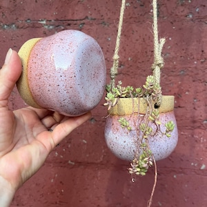 May include: Two round ceramic planters with a speckled pink and white glaze and a textured yellow rim. One planter is held in a hand, while the other hangs from a thick jute rope and contains a small trailing succulent plant with green leaves.