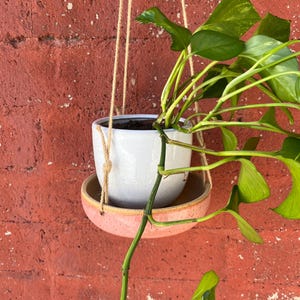 May include: A white ceramic planter with a pink rim hangs from a macrame cord. The planter is filled with a green plant with long stems and leaves.