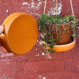 May include: An orange ceramic hanging planter with a speckled design. The planter holds a terracotta pot with green plants. The planter is suspended by a natural rope against a red brick wall.