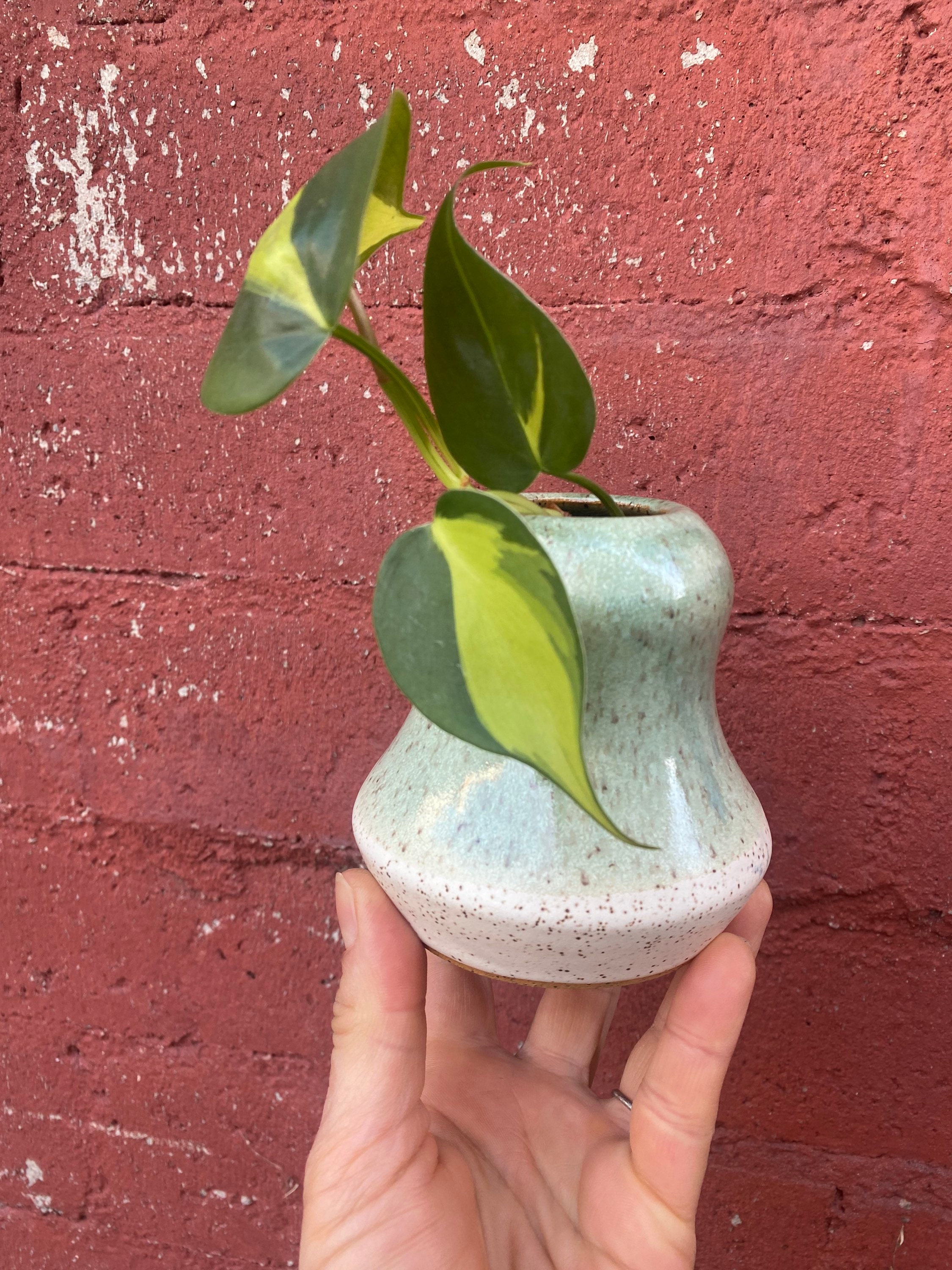 Jade Green Bud Vase Handmade Little Pottery Vase Plant Etsy