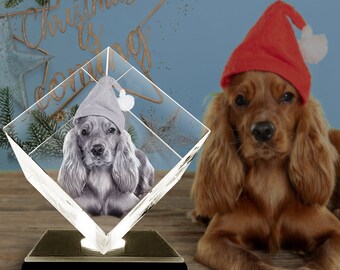 Personalized 3D Crystal Photo Gift, Pet Memorial, Anniversary Gift