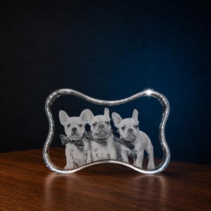 May include: A clear, bone-shaped photo frame with a silver trim. The frame holds a black and white image of three French Bulldog puppies wearing bow ties. The puppies are centered in the frame, which sits on a wooden surface.
