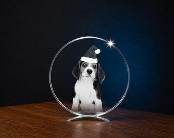 Personalized 3D Crystal Photo with LED Light – Custom Photo Engraved Crystal Gift for Pet Memorial, Family & Wedding