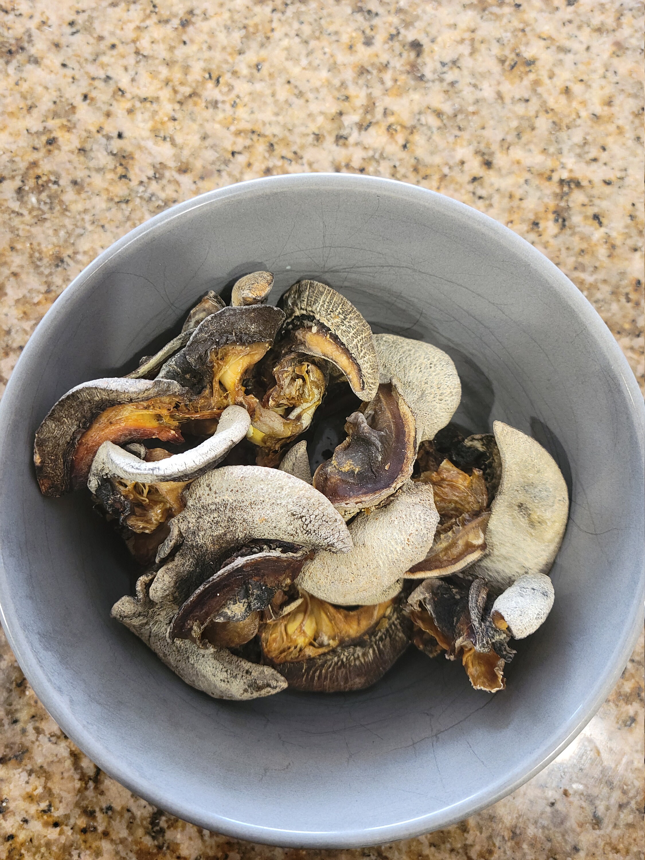 Cleaned oven dried medium size snails / Igbin / medium snail Etsy