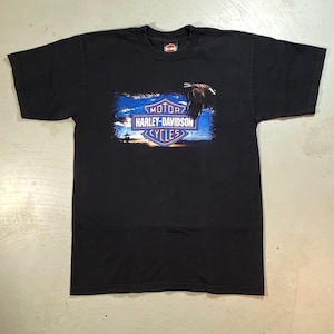 Harley Davidson Eagle / HD Crest Short Sleeve t shirt Lakeland Florida USA Vintage Black Adult Size Large, 2004 for Collector Display Gift