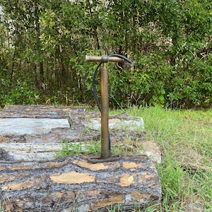 Puede incluir: Una bomba de bicicleta de lat&oacute;n vintage con una manguera de goma negra, descansando sobre una pila de troncos de &aacute;rboles en un &aacute;rea boscosa.