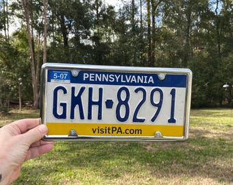 パピヨン　額付プリント　アメリカン　シリアルナンバー付き パピヨン 額付プリント アメリカン シリアルナンバー付き パピヨンの