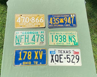 Lote de placas de matrícula antiguas en relieve: letreros de automóviles de colección