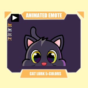ANIMADO gato acecha hola emote para twitch discord transmisión de youtube / lindo gato escondido / 5 colores incluidos