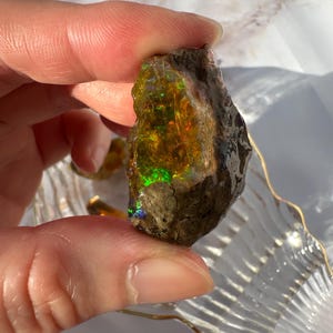 G) 11.1g Ethiopian Welo Opal Rough | Hydrophane Opal