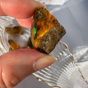F) 8.81g Ethiopian Welo Opal Rough | Hydrophane Opal