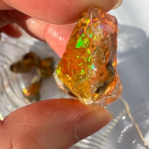L) 8.9g Ethiopian Welo Opal Rough | Hydrophane Opal