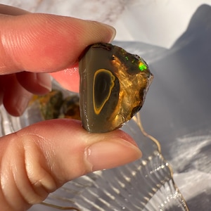 B) 5.90g Ethiopian Welo Opal Rough | Hydrophane Opal
