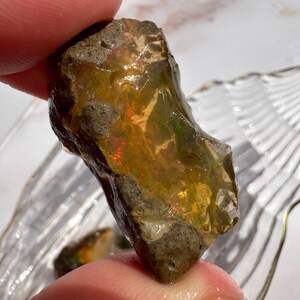 C) 13.7g Ethiopian Welo Opal Rough | Hydrophane Opal