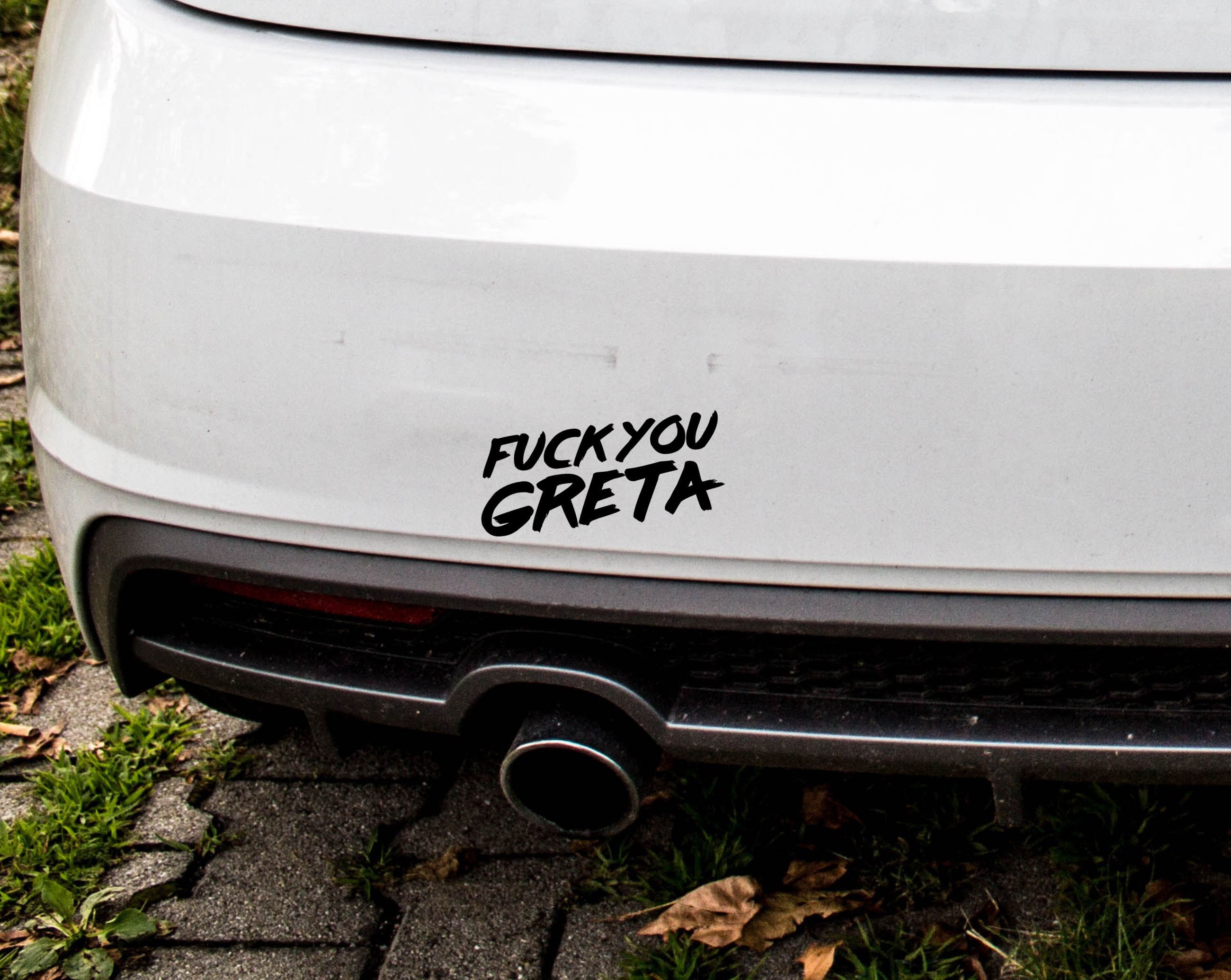 Greta thunberg car sticker deals