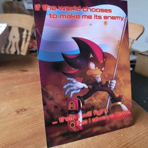 PREORDER- Shadow the Hedgehog Trans Pride Print photo wall poster art