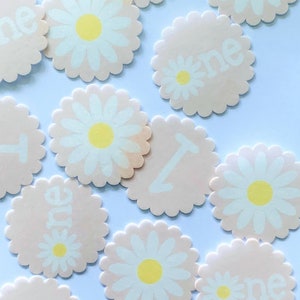 Edible decoration daisies / daisy decoration / first birthday girl / first birthday boy / first birthday girl / decoration topper