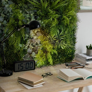 Acquista 1 pezzo di plastica finta pianta grassa artificiale Bonsai Garden  Home Office Decor