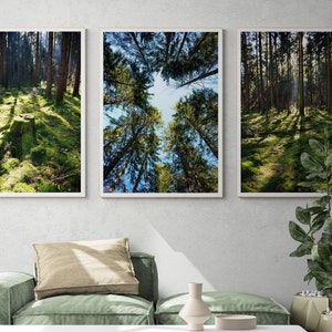 Set of 3 Forest Prints Wall Art. Forest Printable. Printable Tree Picture with Green Spruces. Forest Photography. Nature Art. Trees Wall Art