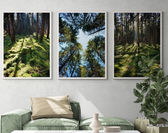 Set de 3 impresiones de bosque para pared. Imprimible de bosque. Imagen de árbol con abetos verdes. Fotografía de bosque. Arte de la naturaleza. Arte mural de árboles.