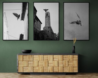 Set of 3 Birds Black White Minimalist Print, Minimalist Wall Art, Birds Poster, Landscape Photography, Street Photo, Black Birds Photography