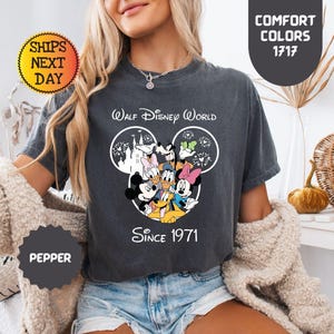 Pode incluir: T-shirt cinzento escuro com um design do Walt Disney World com Mickey Mouse, Pato Donald e outros personagens. O design inclui o texto "Walt Disney World" e "Since 1971". A camisa tamb&eacute;m tem o texto "Comfort Colors 1717".