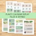 Plants Classroom Birthday Wall | PNG + PDF + Powerpoint | Editable ...