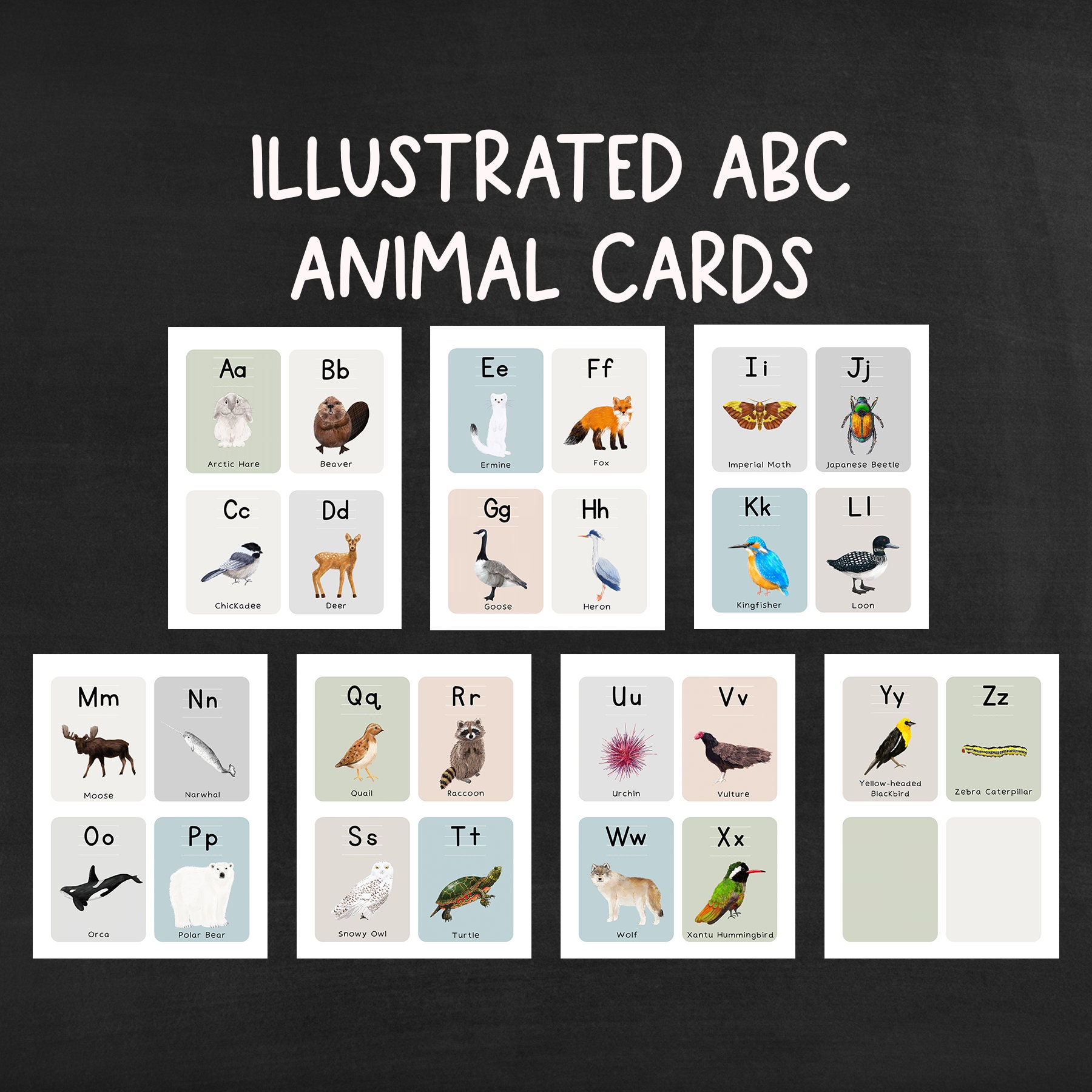 Illustrated Animal ABC Posters + Flash Cards Digital Instant Download