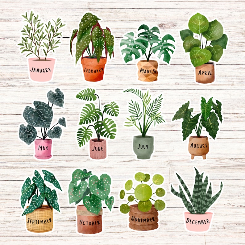 May include: Twelve illustrated plant stickers with the name of each month of the year written on the bottom of each sticker. The plants are in various shades of green and brown with white accents. The stickers are on a white wood background.
