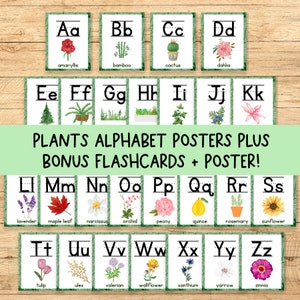 Plants Classroom Alphabet Posters + Flashcards + Poster|  PNG + PDF | Natural Colors Classroom Decor | Boho Classroom