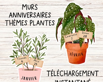 Mur d'anniversaire de classe de plantes | PNG, PDF, PowerPoint | Modifiable | Décor couleurs naturelles | Présentoir de classe d'anniversaire français