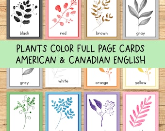 Plant Classroom Color Posters | Boho Decor (PNG + PDF)
