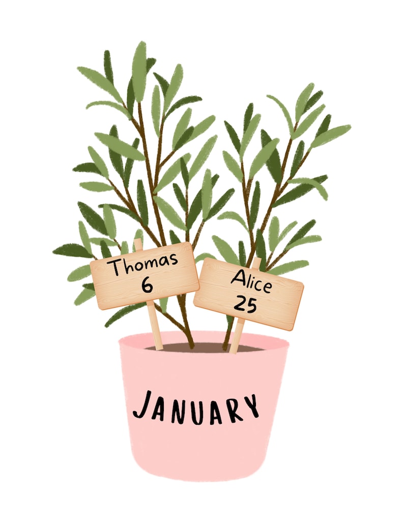 May include: A pink pot with a green plant inside. Two wooden signs are stuck in the soil. The signs say "Thomas 6" and "Alice 25". The pot has the word "JANUARY" written on it.